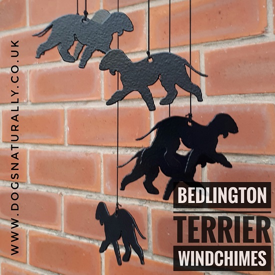 Bedlington Terrier Memorial WIndchime